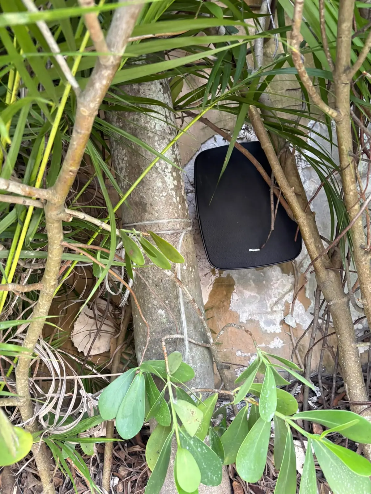 Landscape speaker concealed among planting