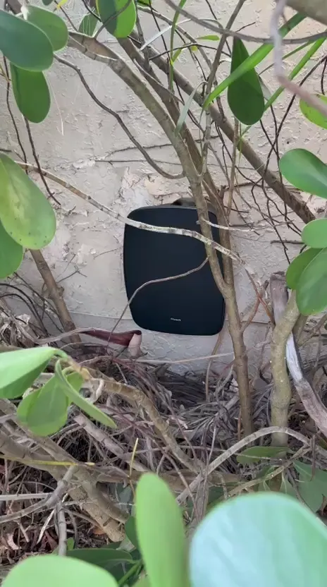 Outdoor speaker placement