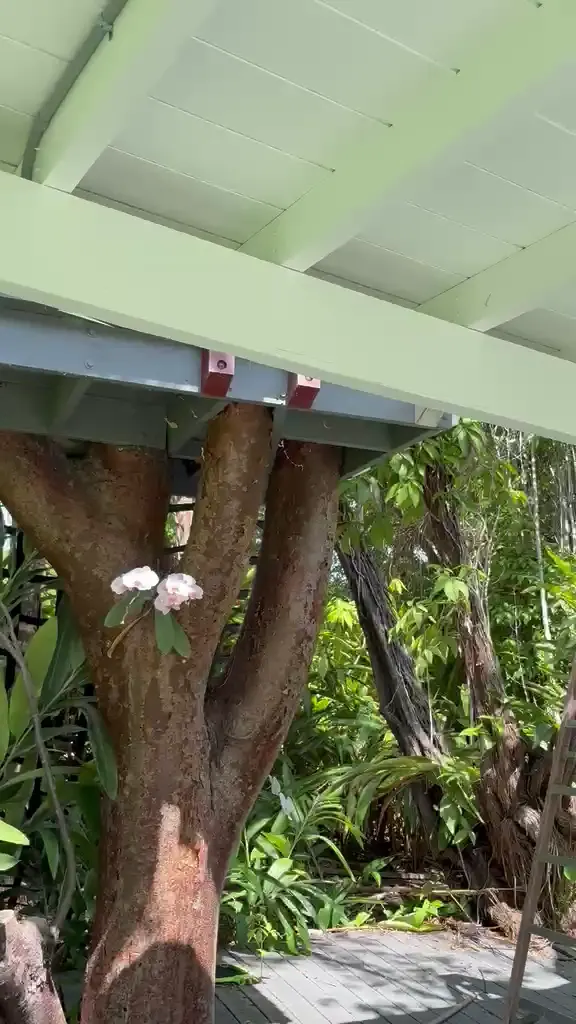 Patio audio installation